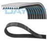 VOLVO 22019475 V-Ribbed Belts